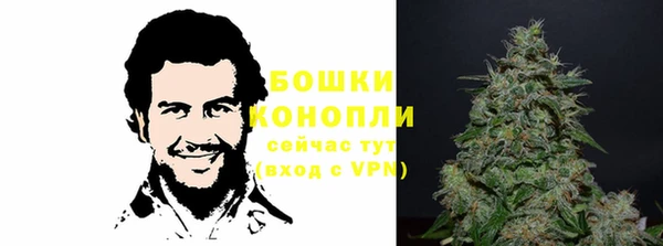 прущая мука Инта