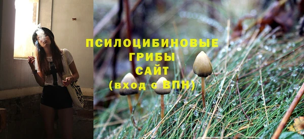 гидропоника Иннополис