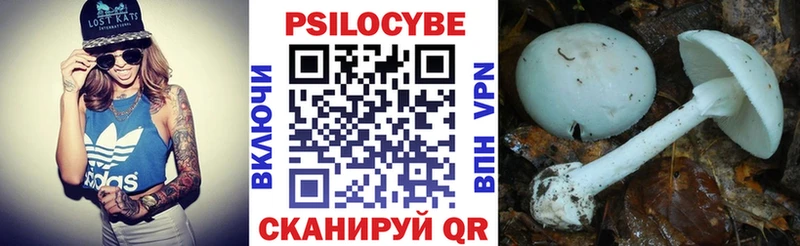 Псилоцибиновые грибы GOLDEN TEACHER  Купить  Искитим 